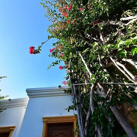 Отель Tropicana 3*