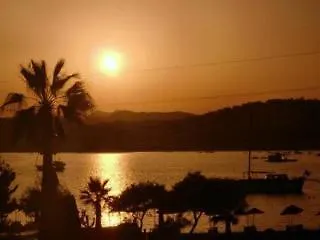 Tropicana 3* Гумбет