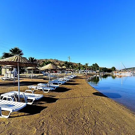 Tropicana 3* Гумбет