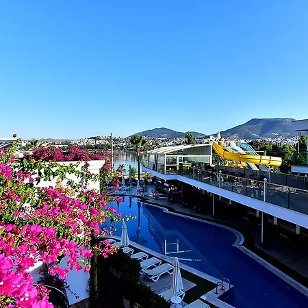 Отель Tropicana Гумбет