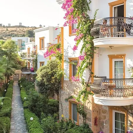 Отель Tropicana Гумбет