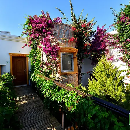 Отель Tropicana Гумбет