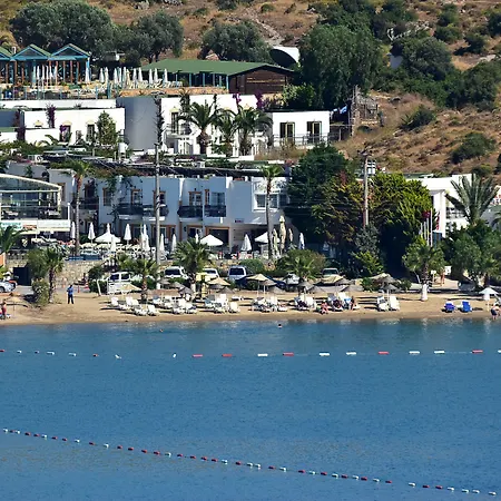 Tropicana Отель Гумбет