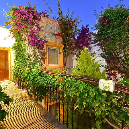 Отель Tropicana