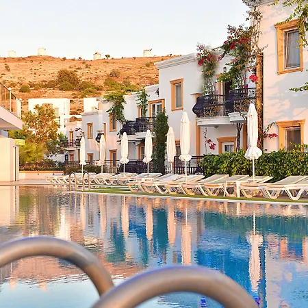 Tropicana 3* Gümbet