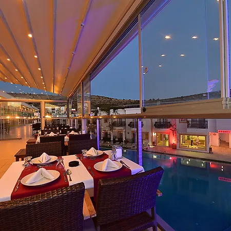 Tropicana Гумбет