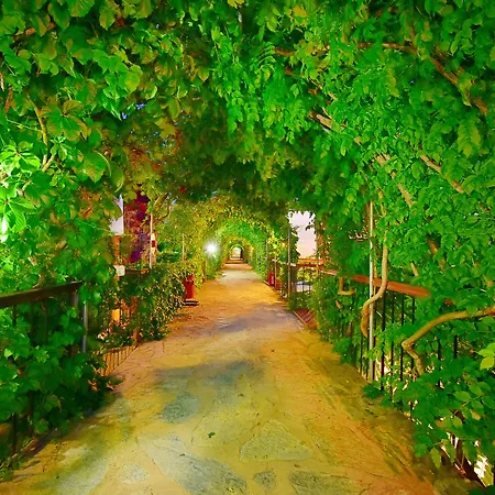 Tropicana Hotel Gümbet