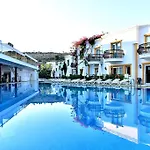 Tropicana 3* Gümbet