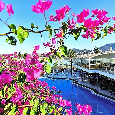 Tropicana 3* Gümbet