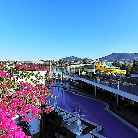 Ξενοδοχείο Tropicana