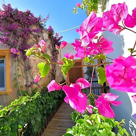 Ξενοδοχείο Tropicana Gümbet