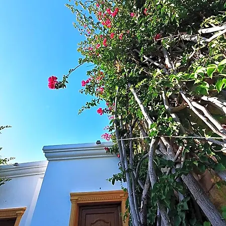 Hotel Tropicana Gümbet