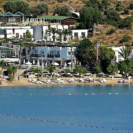 Tropicana 3*