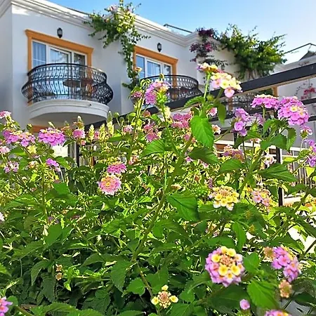 Tropicana 3* Gümbet
