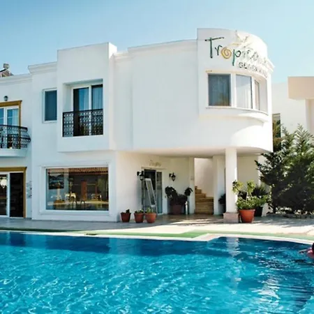 Tropicana גומבט