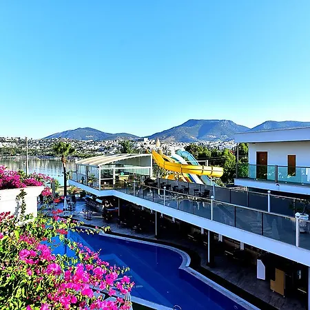 Tropicana