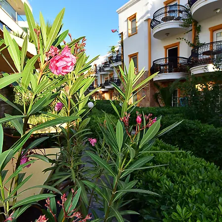 Hotell Tropicana 3*